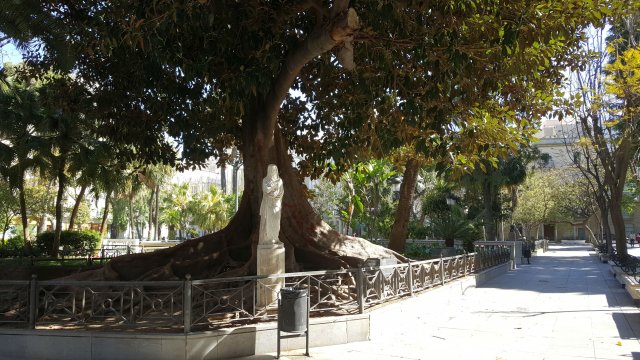 943a cadiz plaza san francisco